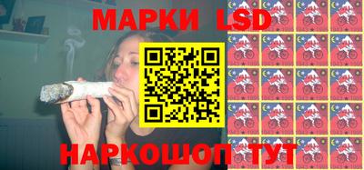 шишки Кандалакша