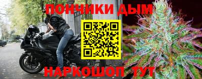 шишки Кандалакша
