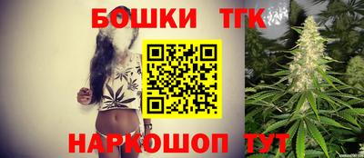 2c-b Кингисепп