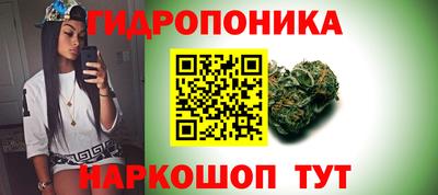 spice Кимры