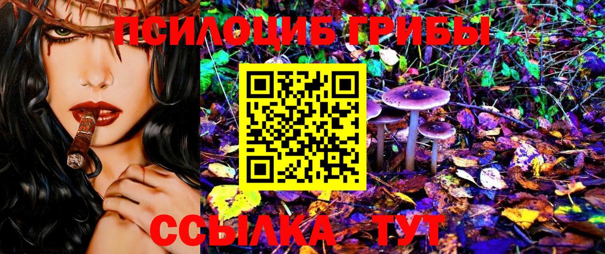 Псилоцибиновые грибы GOLDEN TEACHER Елец